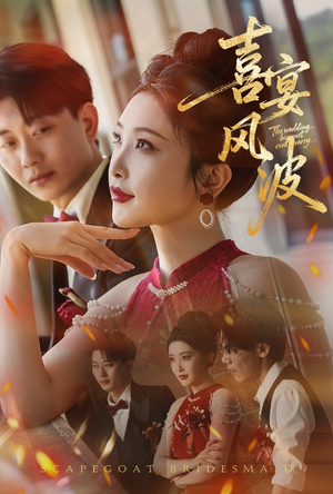 替罪伴娘（30集）免费短剧在线观看