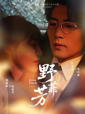 野芳菲（60集）海量资源短剧免费看