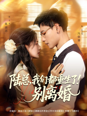 陆总我们都重生了别离婚（79集）无需掏钱整部剧免费看短剧