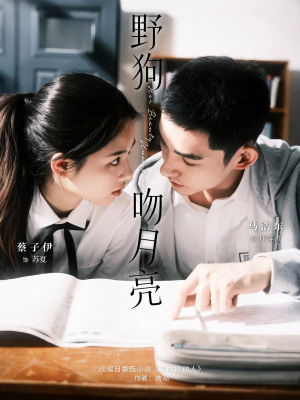 野狗吻月亮（68集）无需注册短剧在线免费看