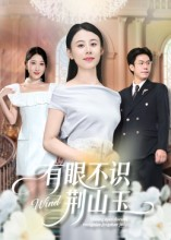 有眼不识荆山玉（58集）免费在线尽享全集短剧