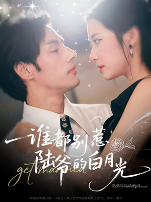 谁都别惹陆爷的白月光（79集）又一部超火短剧抢先看全集