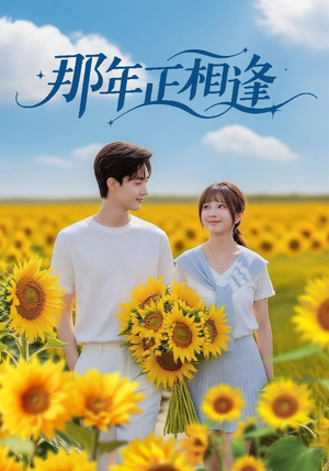 那年正相逢（60集）又一部超火短剧抢先看全集