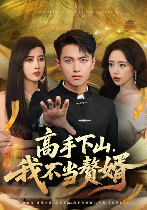 高手下山我不当赘婿（66集）排行榜前十短剧免费观看