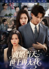 离婚当天世上再无我（60集）最新热播短剧抢先看