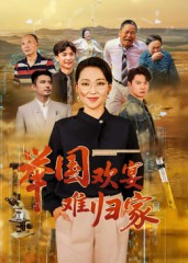 举国欢宴难归家（40集）精彩短片好剧推荐