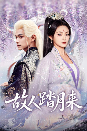 故人踏月来(60集) 故人踏月来(60集)最新火热短剧抢先看