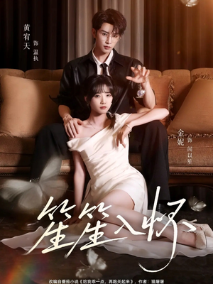 笙笙入怀(108集) 笙笙入怀(108集)好看的短剧电视剧