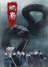蛇影（25集）爆款短剧正在热播