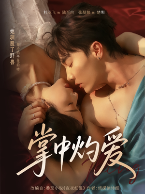 掌中灼爱(62集) 掌中灼爱(62集)爆火短剧超级精彩