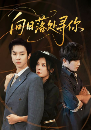 向日落处寻你(70集) 向日落处寻你(70集)短剧全集都在这里免费看