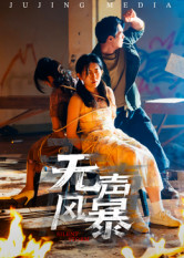 无声风暴(33集) 无声风暴(33集)免费短剧观看爽翻天