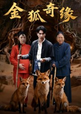 金狐奇缘(42集) 金狐奇缘(42集)短剧全集抢先看