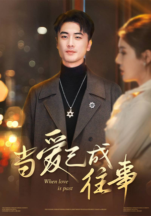 当爱已成往事(30集) 当爱已成往事(30集)超精彩热门短剧推荐