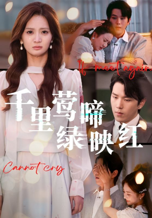 千里莺啼绿映红(63集) 千里莺啼绿映红(63集)真的爱了这部短剧太好看