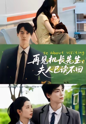 再见机长先生夫人已读不回(62集) 再见机长先生夫人已读不回(62集)都市生活短剧免费在线观看