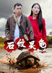 石纹灵龟(30集) 石纹灵龟(30集)精彩短剧视频持续更新中