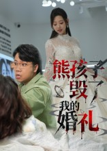 熊孩子毁了我的婚礼(36集) 熊孩子毁了我的婚礼(36集)短剧全集一次看个够