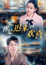 你是迟来的欢喜（93集）在线免费观看热门短剧