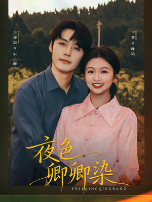 夜色卿卿染(80集) 夜色卿卿染(80集)好评如潮的排行榜前十短剧