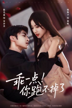 乖一点!你跑不掉了(85集) 乖一点!你跑不掉了(85集)番茄短剧看全集