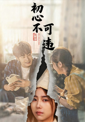 初心不可违（62集）热门短剧推荐短剧片段