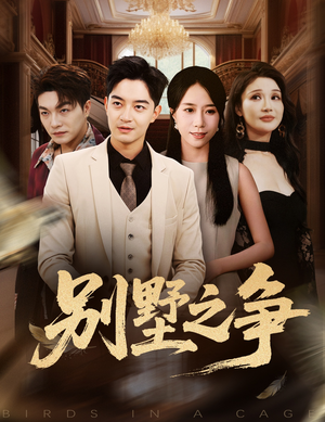 别墅之争(59集) 别墅之争(59集)看这部短剧各种反转各种精彩