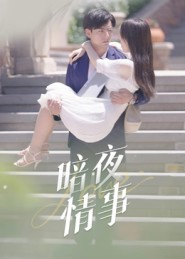 暗夜情事（100集）让你看了就停不下来的精彩短剧