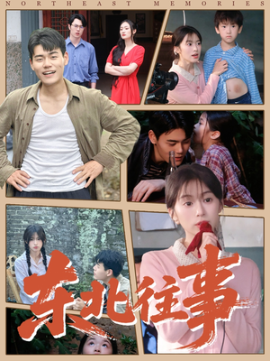 东北往事（60集 ）无需注册短剧在线免费看