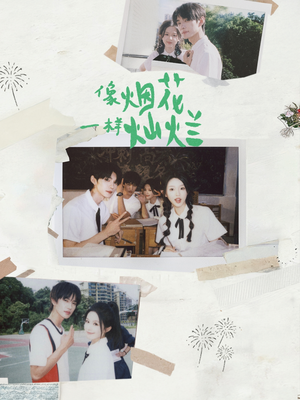 像烟花一样灿烂（60集）短剧全集特惠限时看