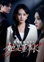 被甩的实习生？她是董事长！（59集）全网独播短剧免费观影