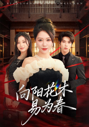 新：向阳花木易为春（72集）热门短剧推荐短剧片段
