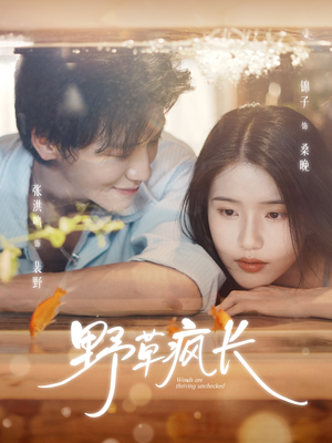 野草疯长(71集) 野草疯长(71集)火爆热门短剧抢先看