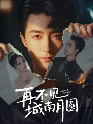 再不见城南月圆(60集) 再不见城南月圆(60集)短剧终章免费大放送