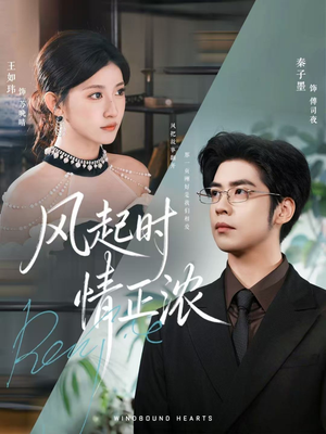 风起时情正浓(79集) 风起时情正浓(79集)免费观看完整版短剧
