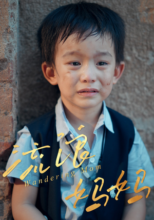 流浪妈妈（30集）最近很火的短剧