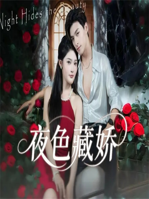 夜色藏娇（65集）短剧全集免费观看