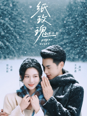 纸玫瑰第二部（80集）推荐短剧一口气要看完