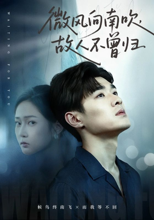 微风向南吹，故人不曾归（72集）短剧完结篇全集连播