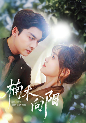 楠木向阳（70集）河马短剧免费看全集