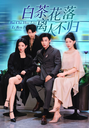 白茶花落离人（51集）短剧解说推荐好剧