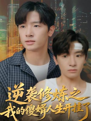 逆袭修炼之我的傻婿人生开挂了（65集）热门短剧新剧推荐