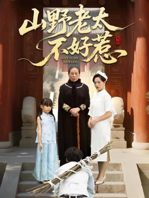 奶奶一脚震全城（64集）每天分享好看精彩片段