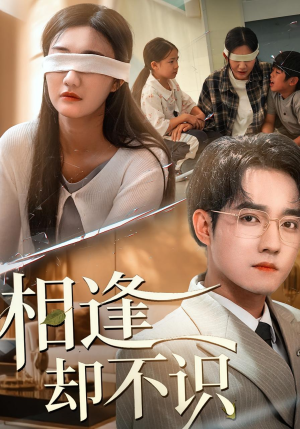 相逢却不识（77集）短剧演员排行榜