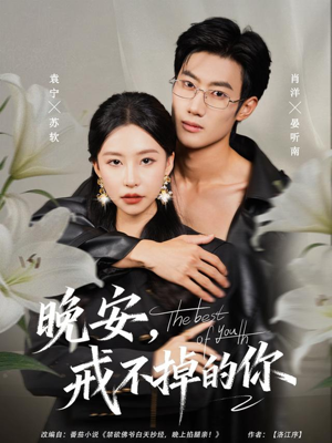 晚安，戒不掉的你（68集）一毛不花看完整部短剧