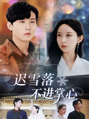 迟雪落不进掌心（79集）短剧已完结一口气看完真爽