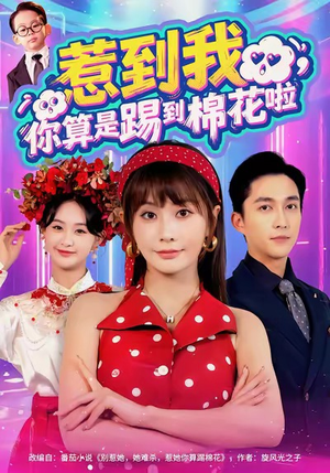 惹到我，你算是踢到棉花啦（67集）在线免费看最新短剧