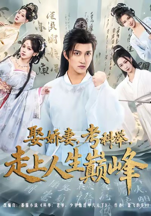 娶娇妻,考科举,走上人生巅峰(80集) 娶娇妻,考科举,走上人生巅峰(80集)精彩短片好剧推荐