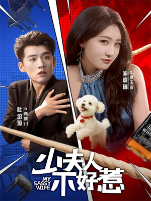 少夫人不好惹（61集）全部免费观看全集