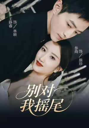 别对我摇尾（59集）短剧完整版免费观看